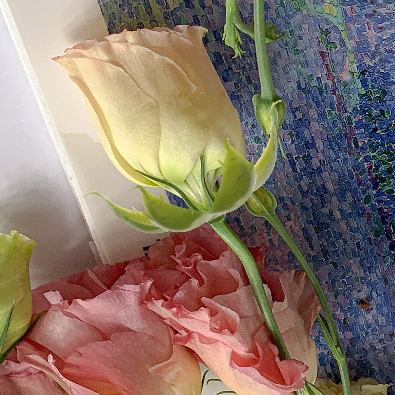 Soap Making Ins - 50個入り 人工バラの花弁（プラスチック製） DIY石鹸作り、手芸、装飾用フラワーアレンジメントに